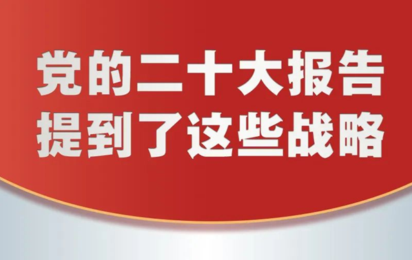 党的二十大报告，提到这些战略